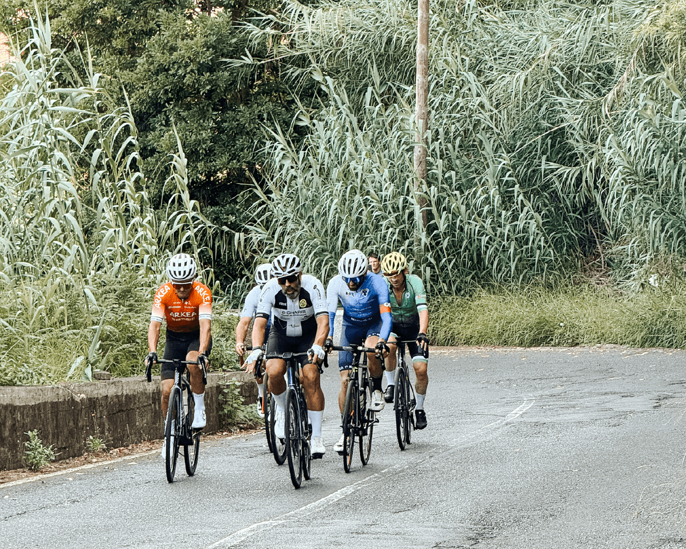 grupo de ciclistas em prova